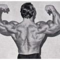 Muscle by Muscle Scapulae