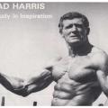 Brad Harris A study in Inspiration