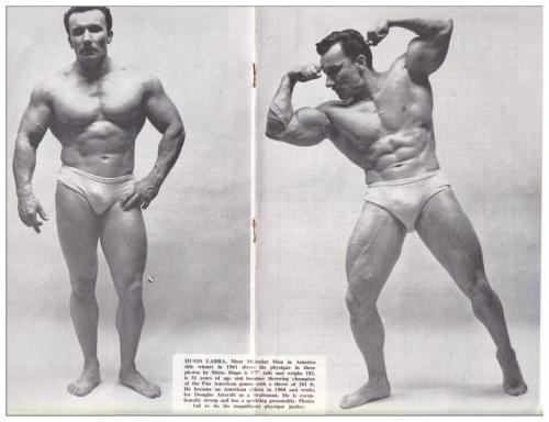 Hugo Labra 