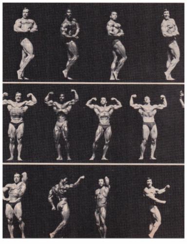 Viator, Robinson, Dickerson & CoeCirca 1980